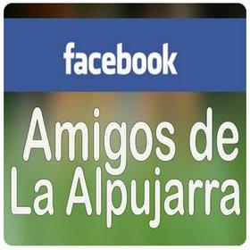 Imagen de Alboloduy mapa 04531 3 