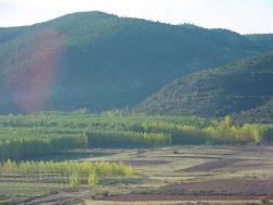 Imagen de Alcalá de la Vega mapa 16315 1 