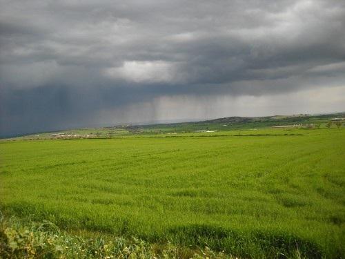 Imagen de Alcampell mapa 22560 5 