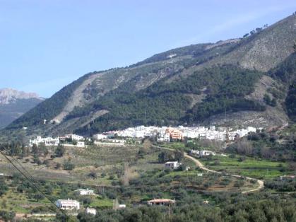 Imagen de Alcaucín mapa 29711 5 