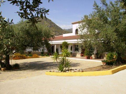 Imagen de Alcaucín mapa 29711 6 