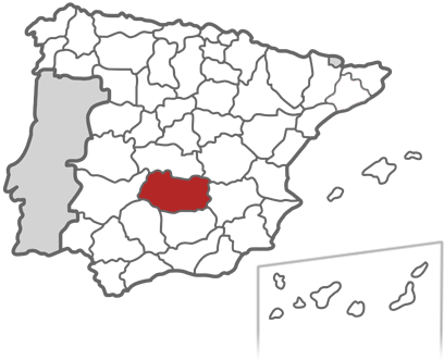 Imagen de Alcázar de San Juan mapa 13600 4 