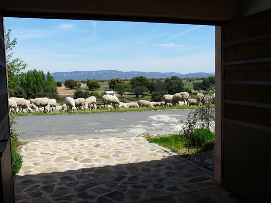 Imagen de Alcoba mapa 13116 3 