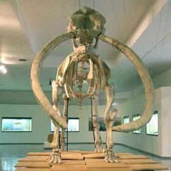 Imagen de Alcolea de Calatrava mapa 13107 3 