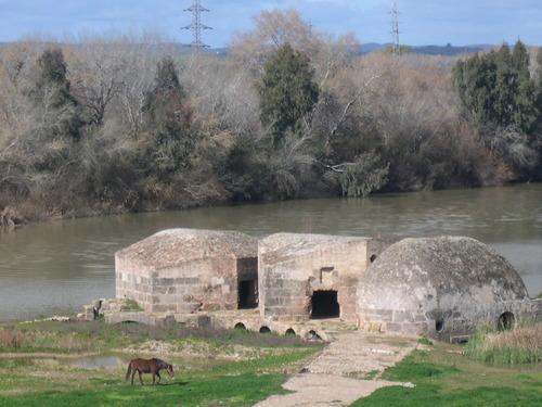 Imagen de Alcolea del Río mapa 41449 4 