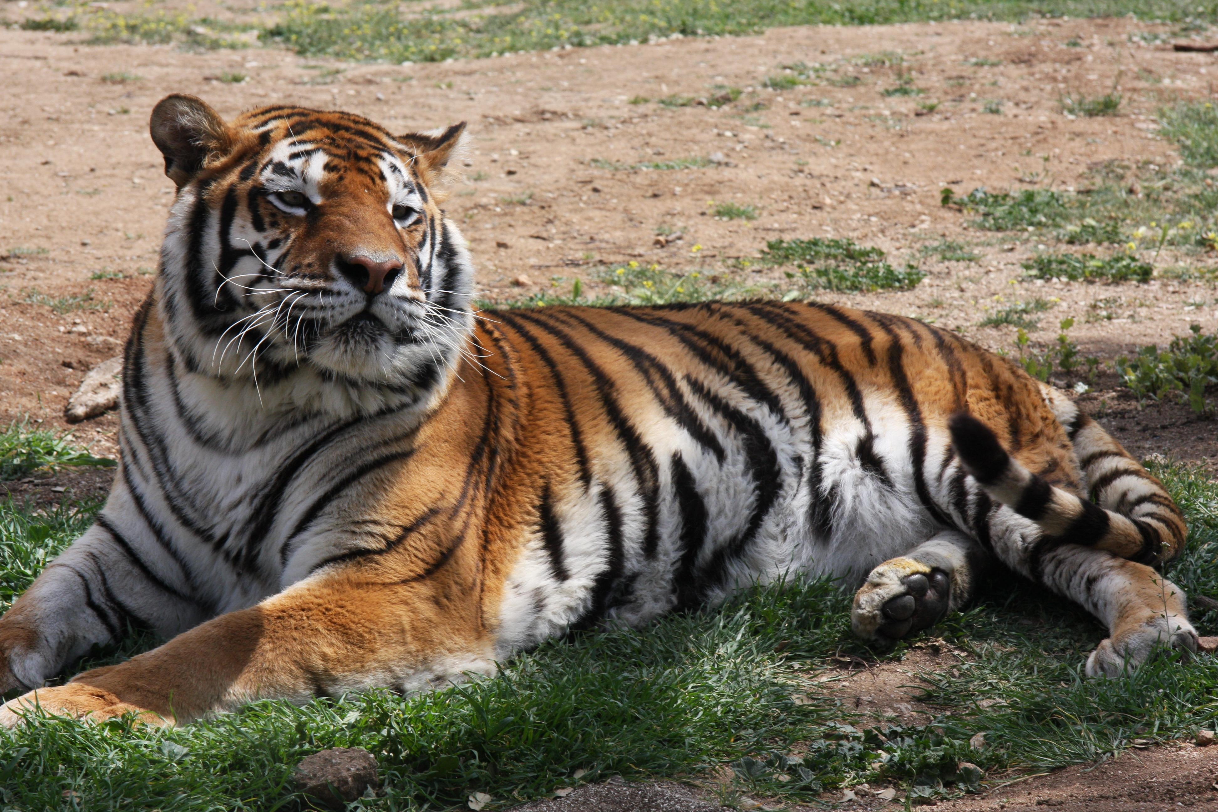 Imagen de Aldea del Fresno mapa 28620 6 