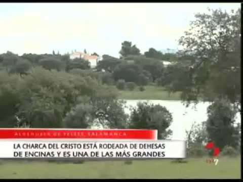 Imagen de Aldehuela de Yeltes mapa 37639 5 