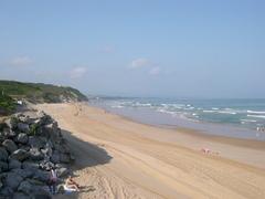 Imagen de Alegia mapa 20260 2 