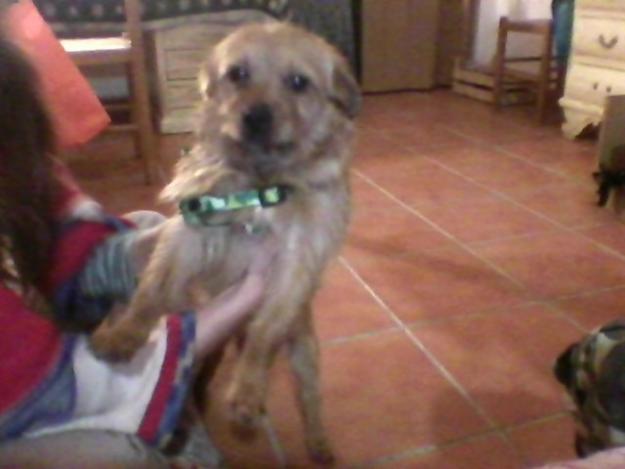 Imagen de Alfacar mapa 18170 4 