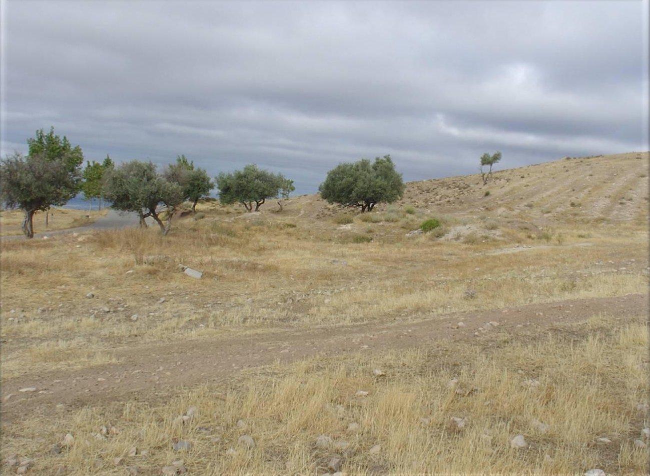 Imagen de Alfacar mapa 18170 6 