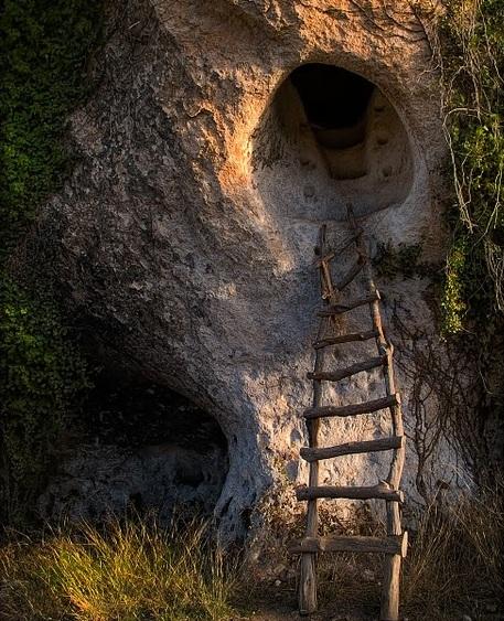 Imagen de Alfafara mapa 03838 5 