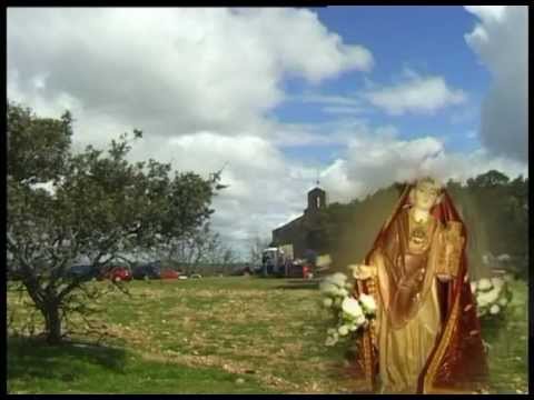 Imagen de Alfaraz mapa 49177 6 