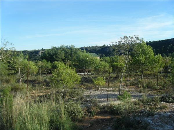 Imagen de Alfarp mapa 46197 6 