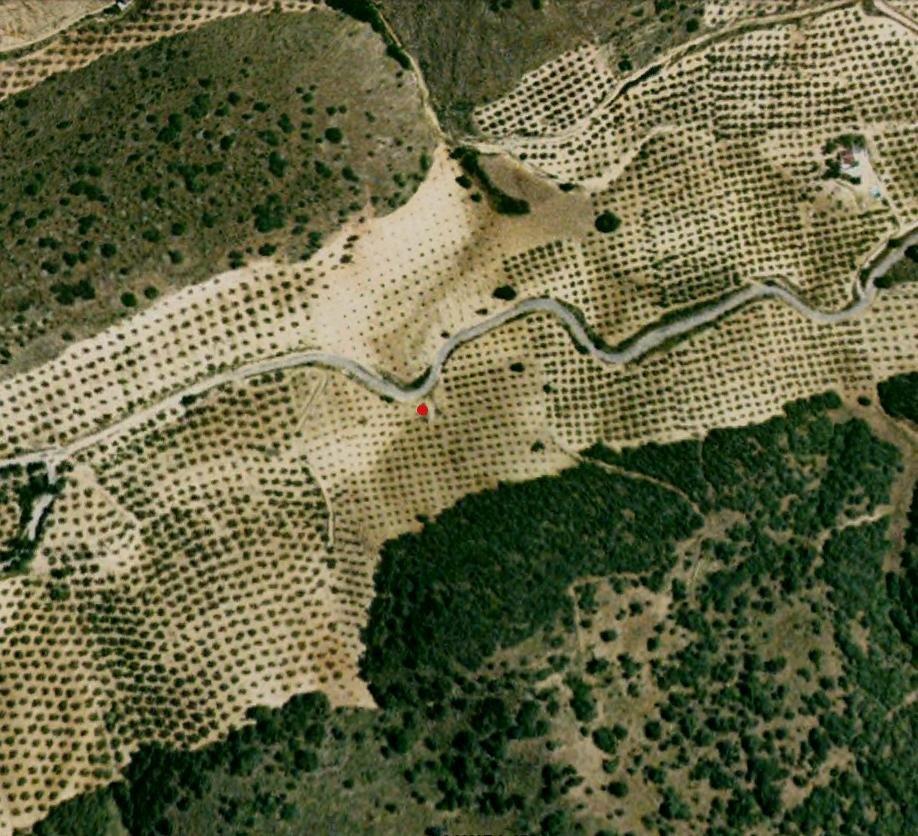 Imagen de Algarinejo mapa 18280 4 