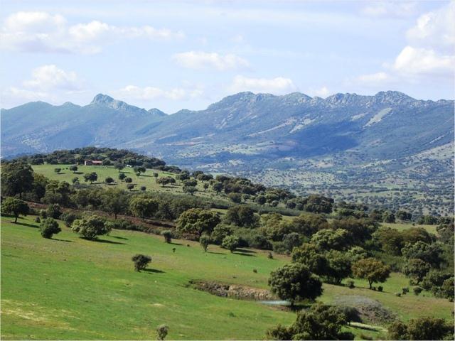 Imagen de Alía mapa 10137 3 