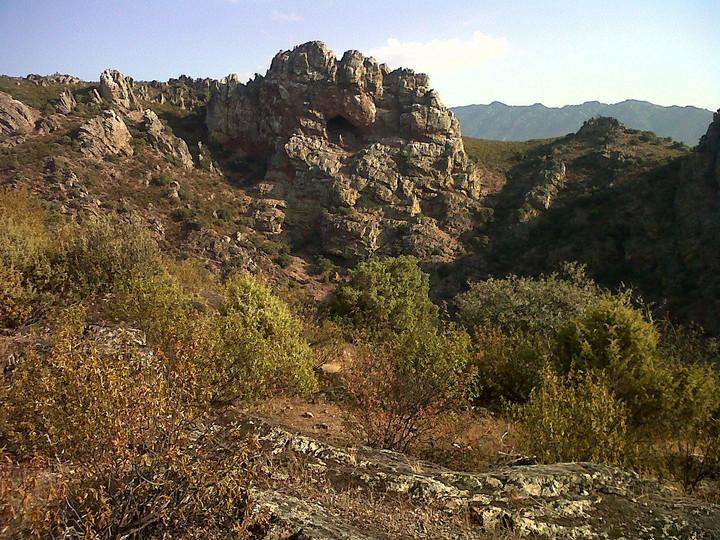 Imagen de Alía mapa 10137 5 