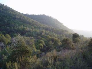 Imagen de Almatret mapa 25187 3 