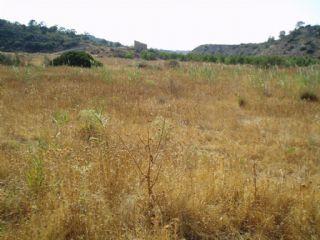 Imagen de Almatret mapa 25187 4 