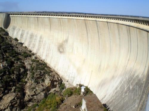 Imagen de Almendra mapa 37176 6 