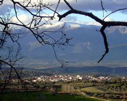 Imagen de Almendral de la Cañada mapa 45631 2 