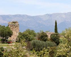 Imagen de Almendral de la Cañada mapa 45631 4 