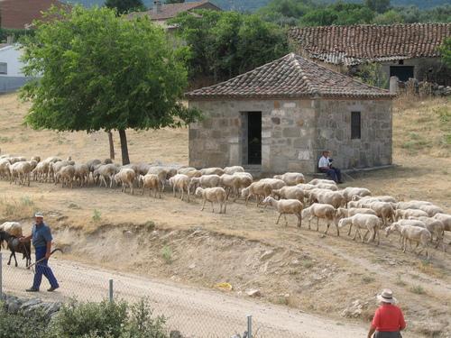 Imagen de Almendral de la Cañada mapa 45631 5 