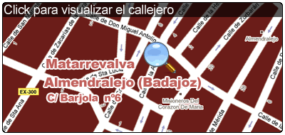 Imagen de Almendralejo mapa 06200 5 