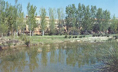 Imagen de Almochuel mapa 44591 2 