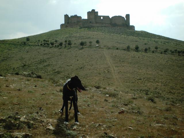 Imagen de Almonacid mapa 45420 1 