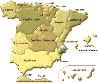 Imagen de Almoradí mapa 03160 6 