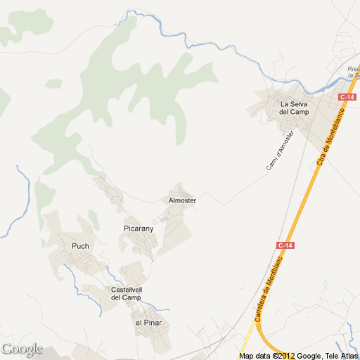 Imagen de Almoster mapa 43393 1 