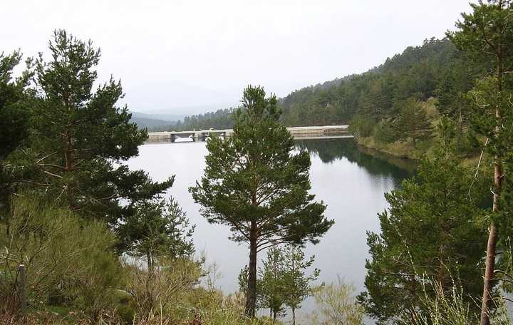 Imagen de Añe mapa 40492 2 