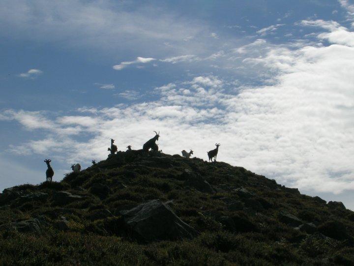 Imagen de Anievas mapa 39451 3 