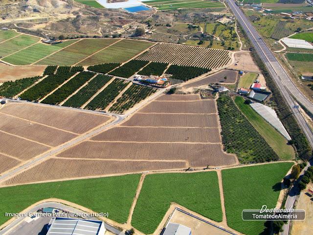 Imagen de Antas mapa 04628 6 