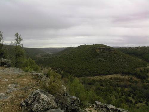 Imagen de Arahuetes mapa 40173 3 