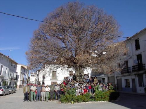 Imagen de Aras de los Olmos mapa 46179 2 