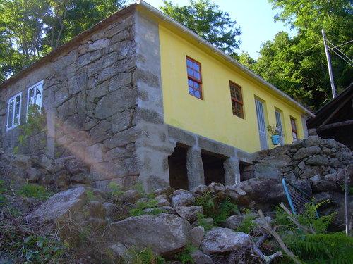 Imagen de Arbo mapa 36430 5 