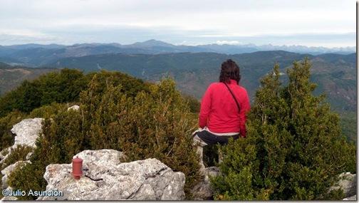 Imagen de Arce mapa 31438 3 