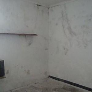 Imagen de Arenas de San Juan mapa 13679 4 