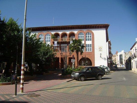 Imagen de Argamasilla mapa 13710 3 