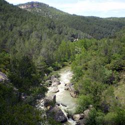 Imagen de Armallones mapa 19461 3 