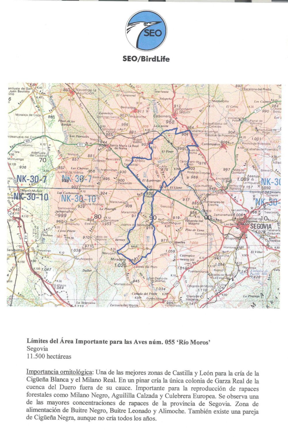 Imagen de Armuña mapa 40494 5 