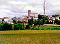 Imagen de Armuña de Tajuña mapa 19135 3 