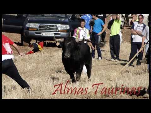 Imagen de Armuña de Tajuña mapa 19135 4 