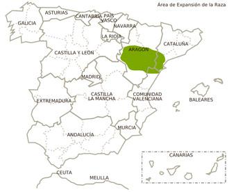 Imagen de Arnes mapa 43597 2 