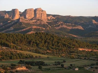 Imagen de Arnes mapa 43597 6 