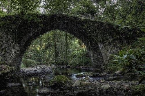 Imagen de Arratzu mapa 48383 4 