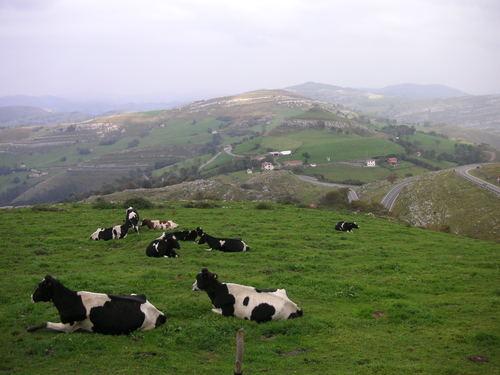 Imagen de Arredondo mapa 39813 5 