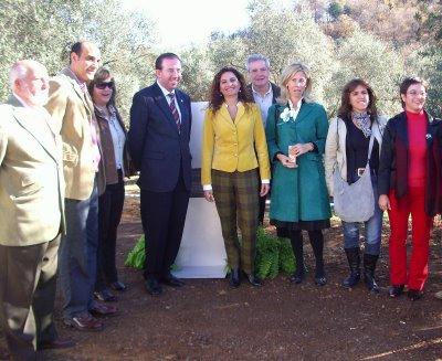 Imagen de Arroyomolinos de León mapa 21280 6 