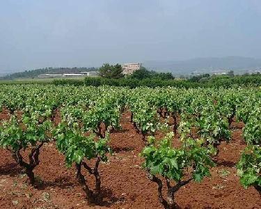 Imagen de Artés mapa 08271 1 